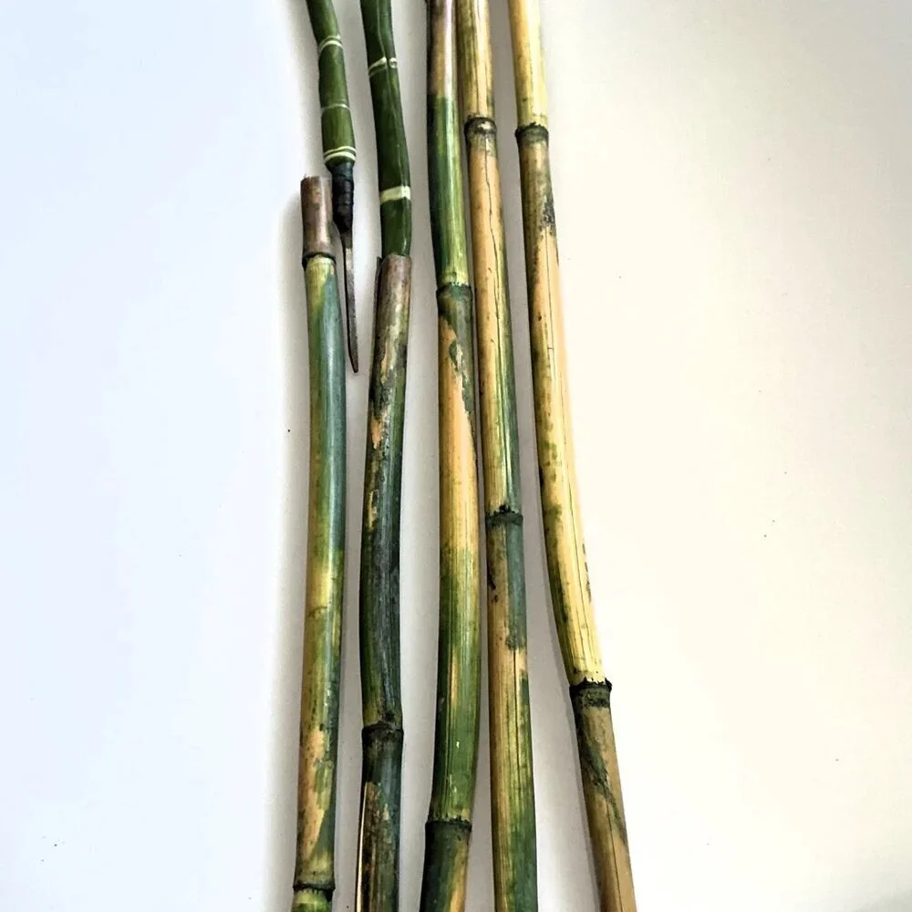 BAMBOO WITH DETACABLE POLES TALL CRAFT DIY BUNDLE ARTIFICAL (FLAWS)